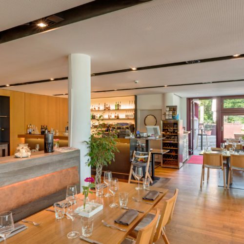 freischwimmer bregenz