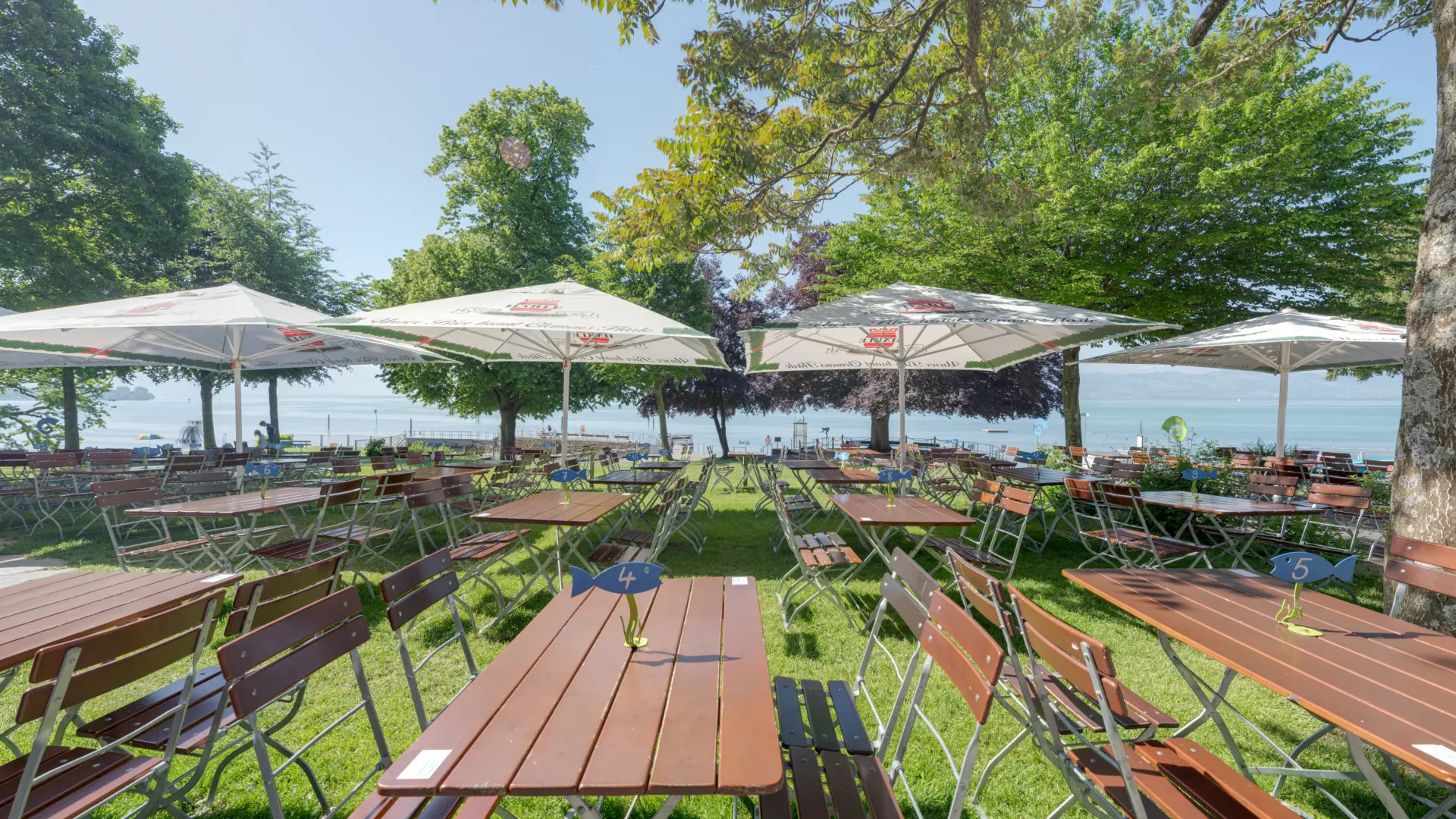 loacation bilder 2 node23 strandcafe lindenhof lindau biergarten