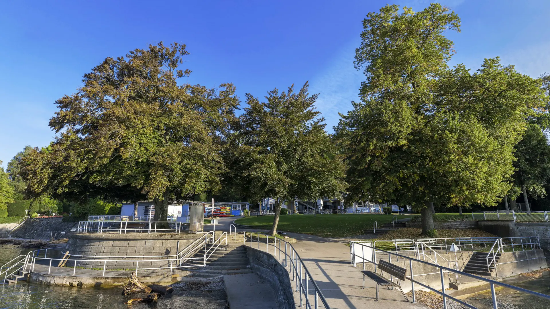 Parkweg mit Bäumen und blauem Himmel