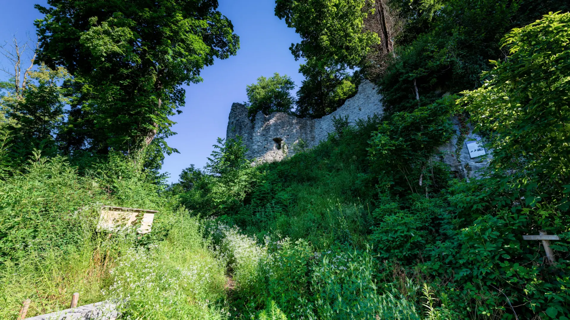 Ruinen in bewaldeter Landschaft