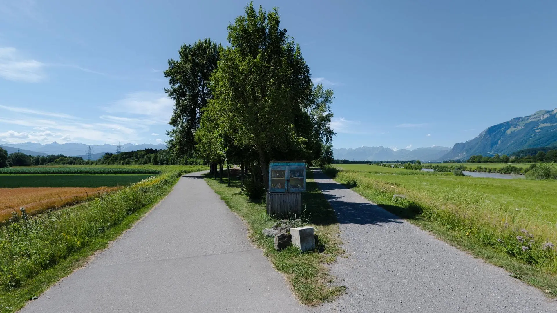 Wanderweg durch grüne Landschaft mit Bäumen.