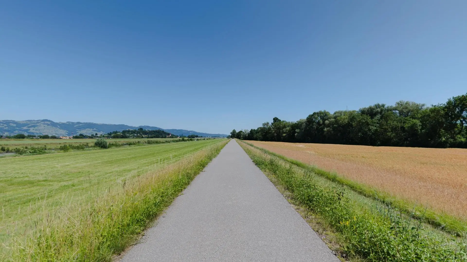 Gerade Landstraße zwischen Feldern und Wäldern.