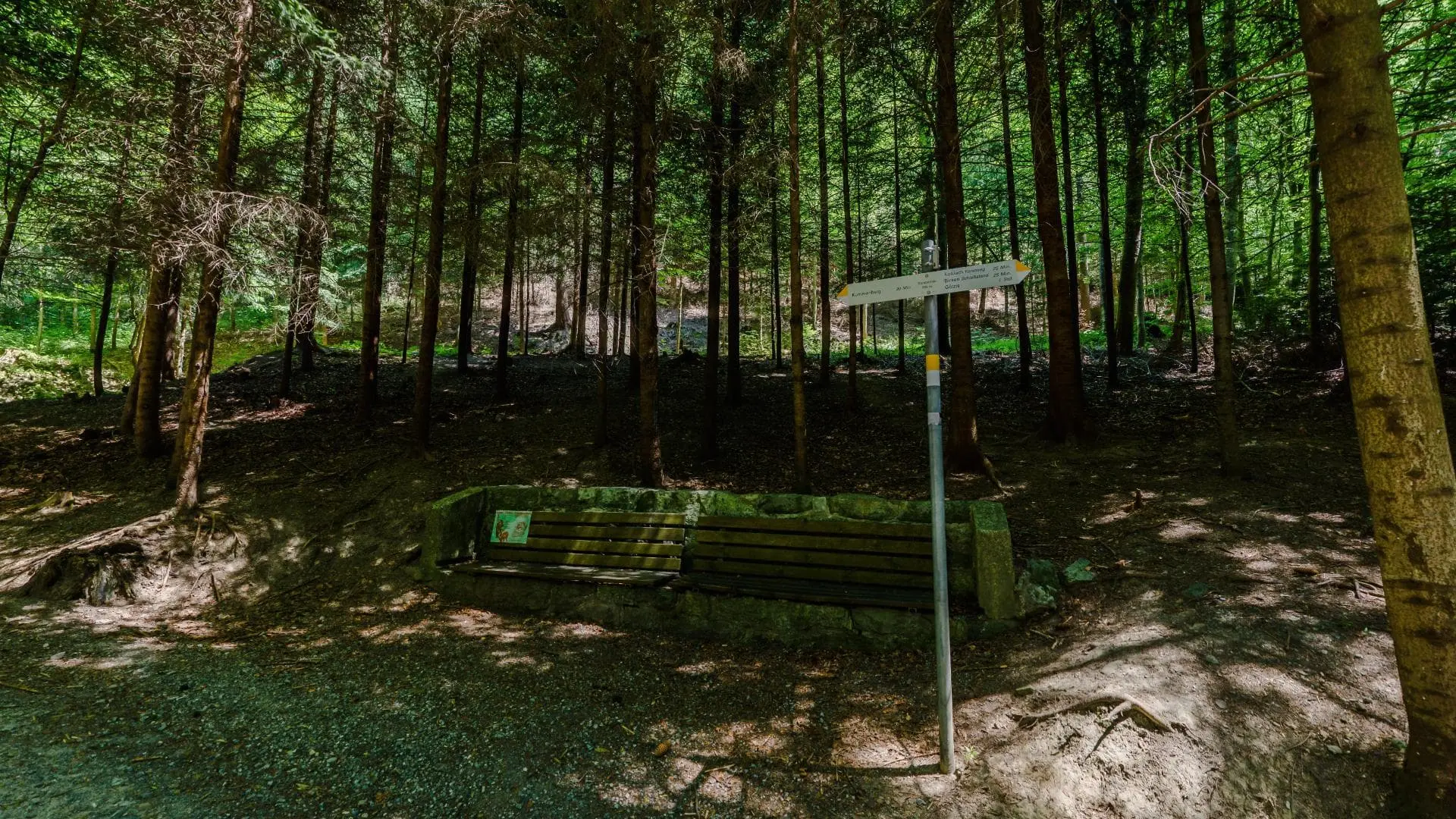 Waldweg mit Bank und Wegweiser