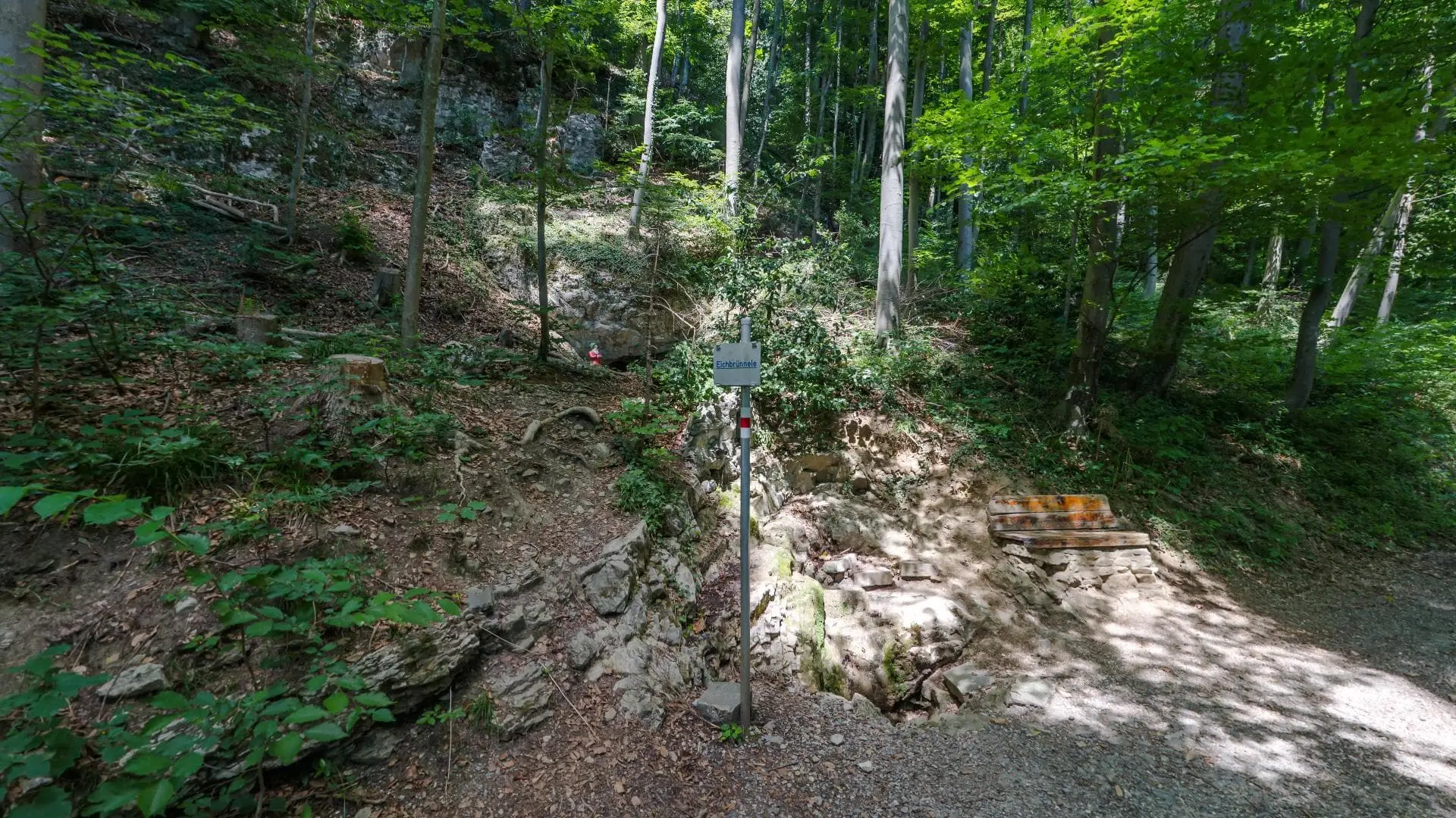 Waldweg mit Bank und Hinweisschild im Grünen.