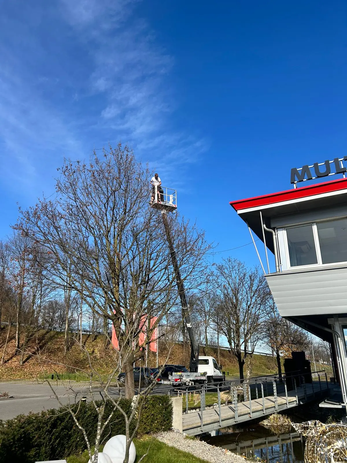 Arbeiter auf Hebebühne an einem Baum.