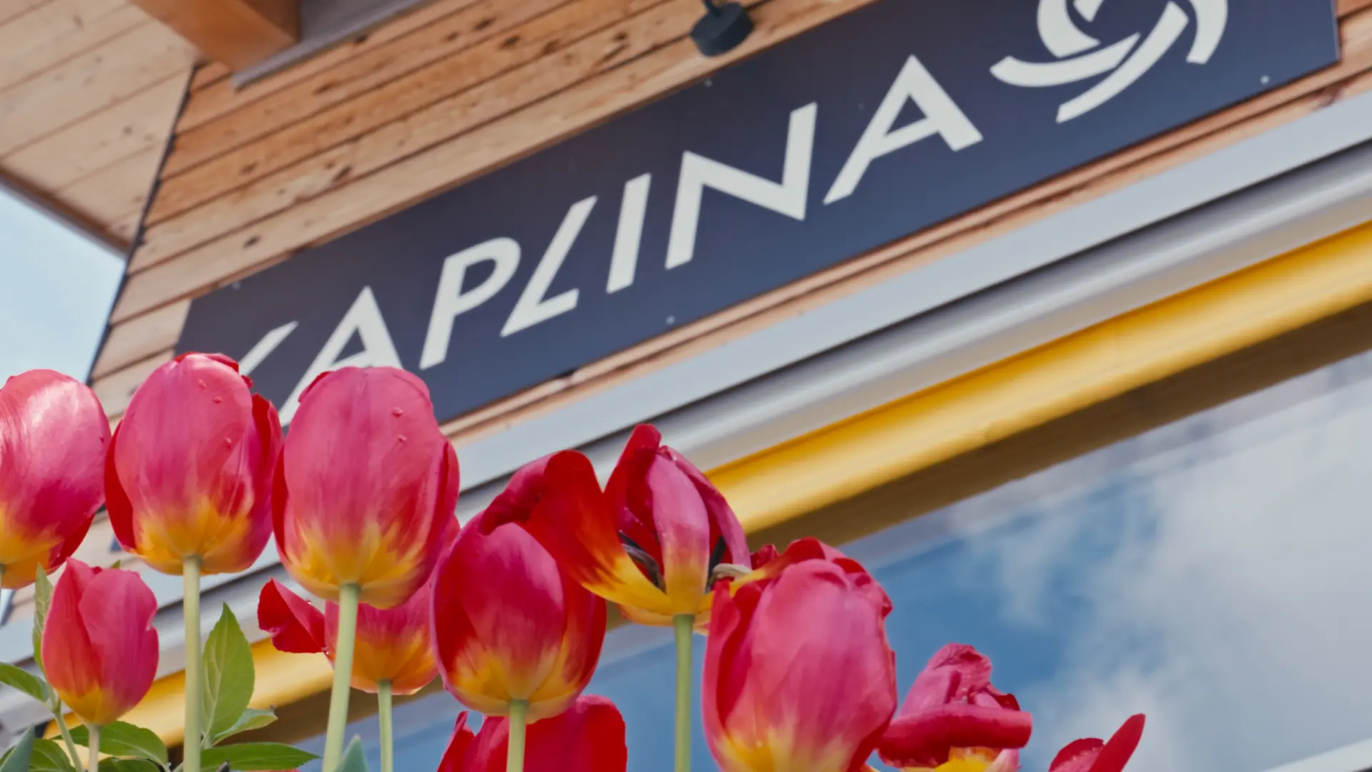 kaplina 3.2.1