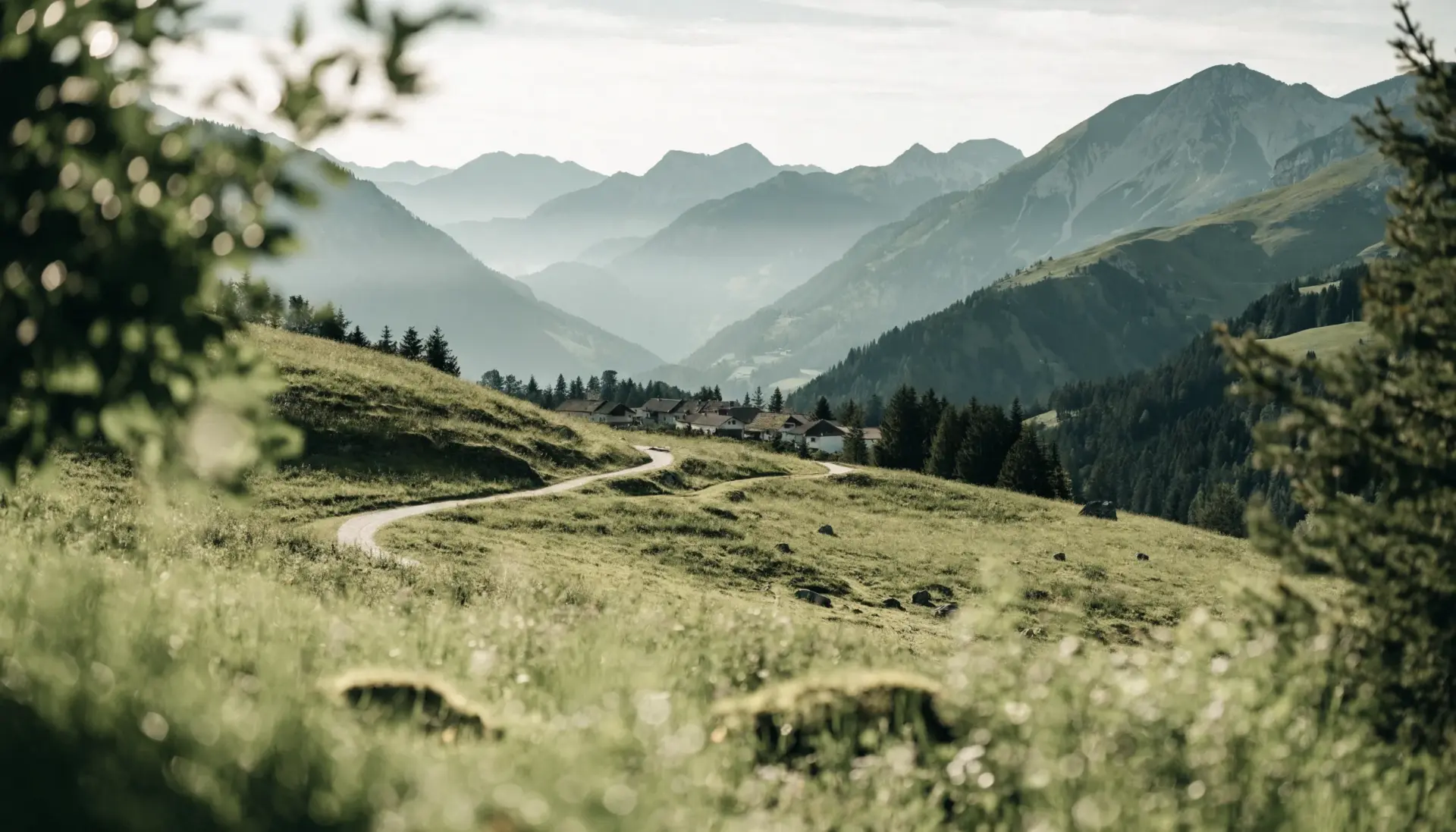 Destination Digital-Marketing: Saison (MULTIMEDIAFABRIK, Koblach, Vorarlberg)