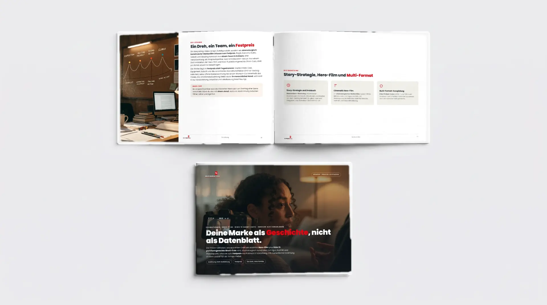Storytelling Videos-Guide als Premium-ePaper
