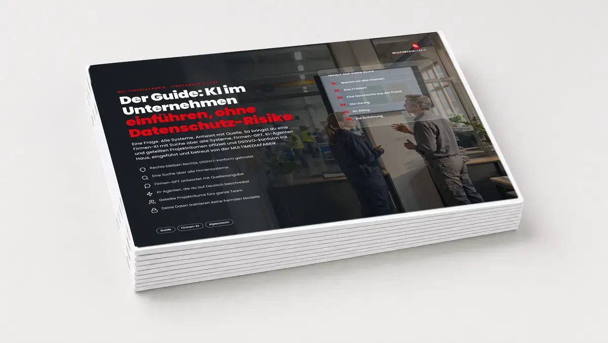 Der Guide: KI im Unternehmen einführen, ohne Datenschutz-Risiko, Ansicht 5