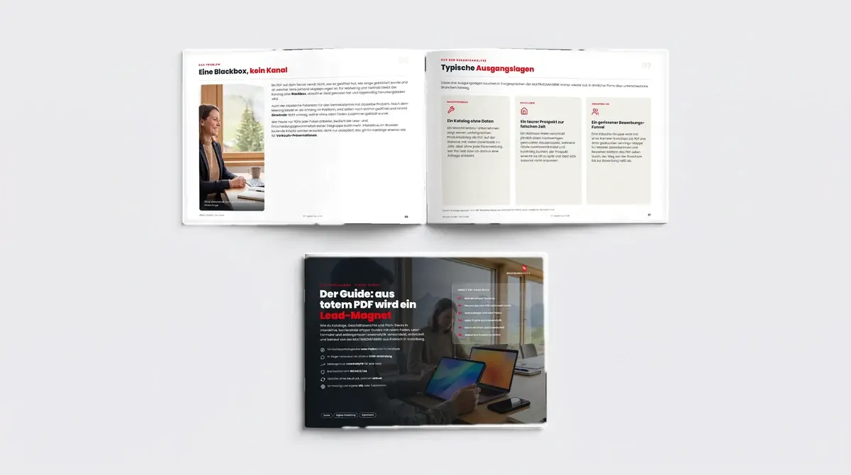 Der Guide: Wie aus deinem PDF ein Lead-Magnet wird, Ansicht 3