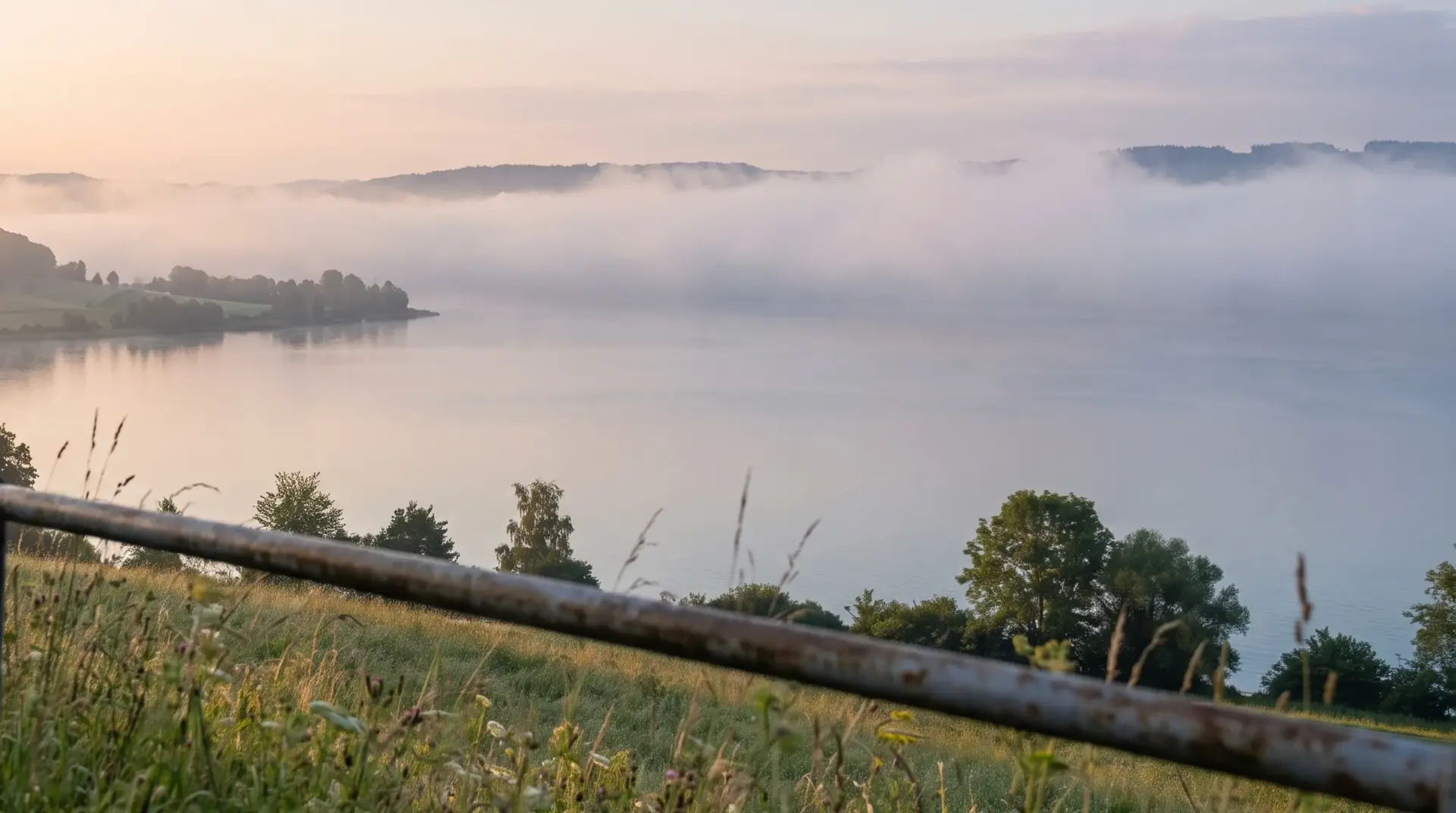 Nahaufnahme des Bodensees am frühen Morgen mit Dunst über dem Wasser