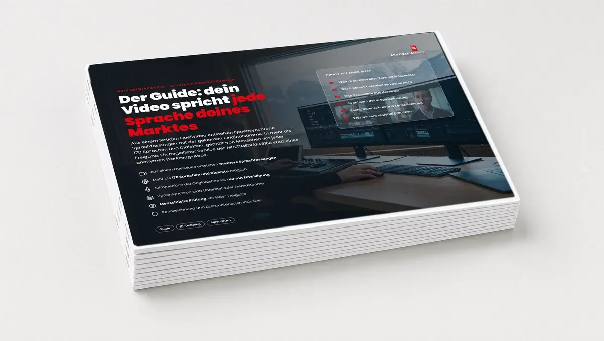 Der Guide: KI-Video-Übersetzungen, wie ein Video jede Sprache spricht, Ansicht 5