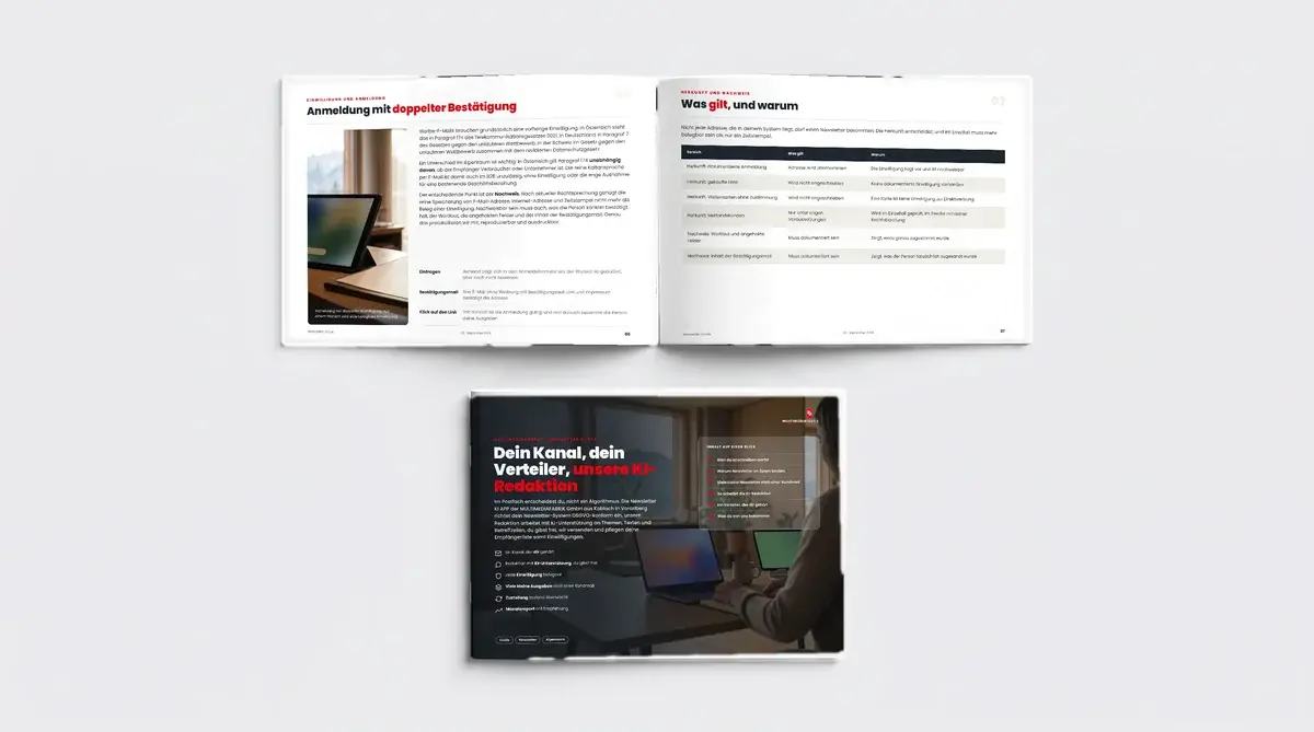 Der Guide: Newsletter aufbauen, ohne selbst Redaktion zu werden, Ansicht 3